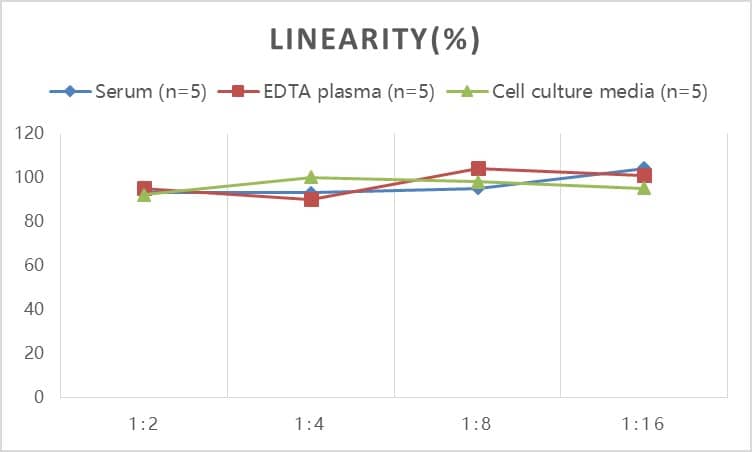 Human PKM2 ELISA Kit (Colorimetric)