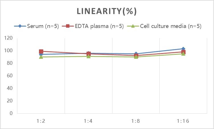 Human Thyroglobulin ELISA Kit (Colorimetric)