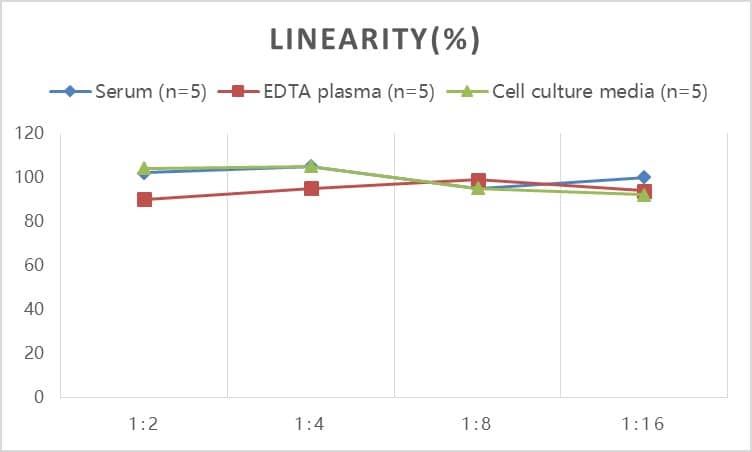 Human sTfR (soluble Transferrin R) ELISA Kit (Colorimetric)