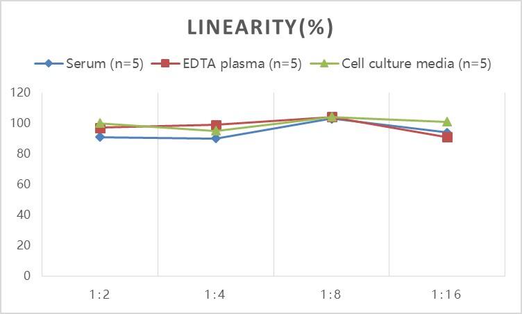 Human Talin1 ELISA Kit (Colorimetric)