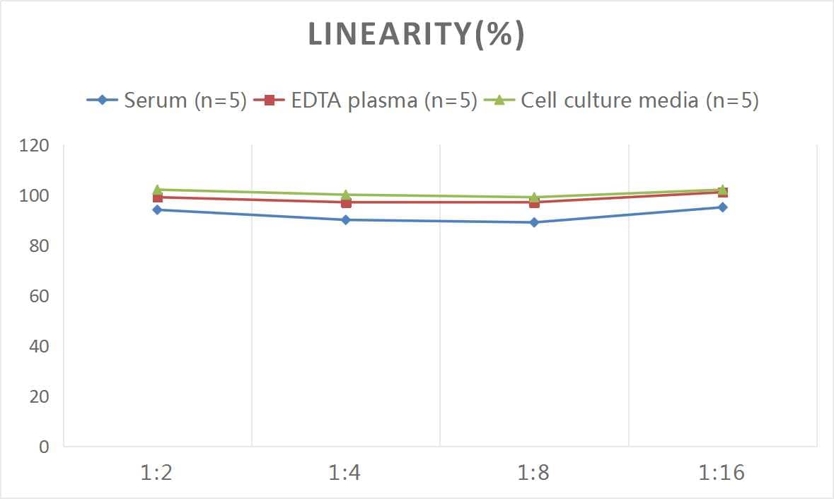 Monkey CD163 ELISA Kit (Colorimetric)