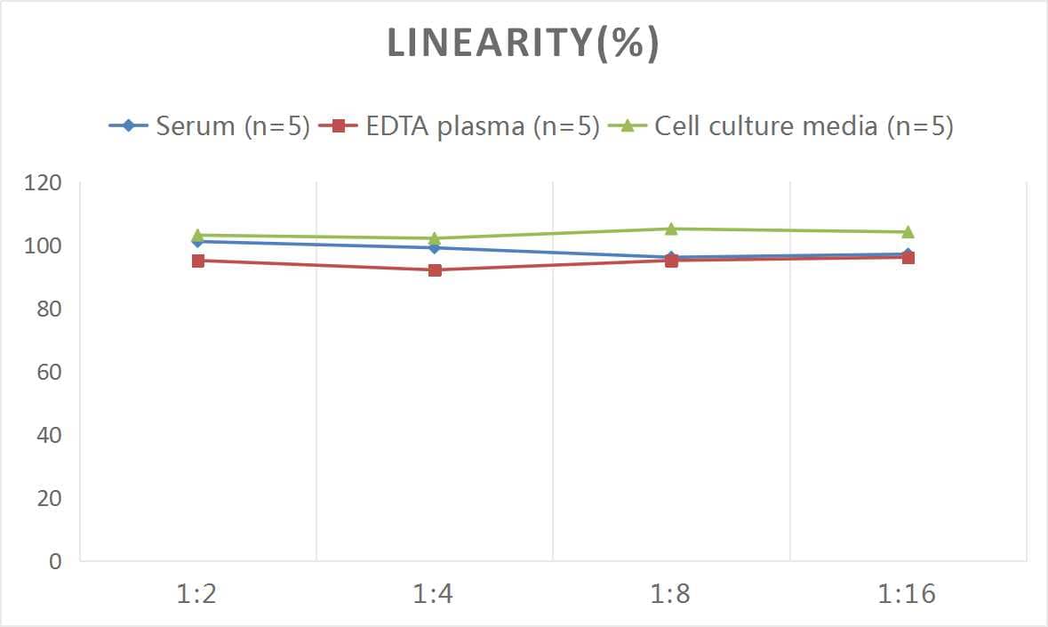 Monkey FGF-21 ELISA Kit (Colorimetric)