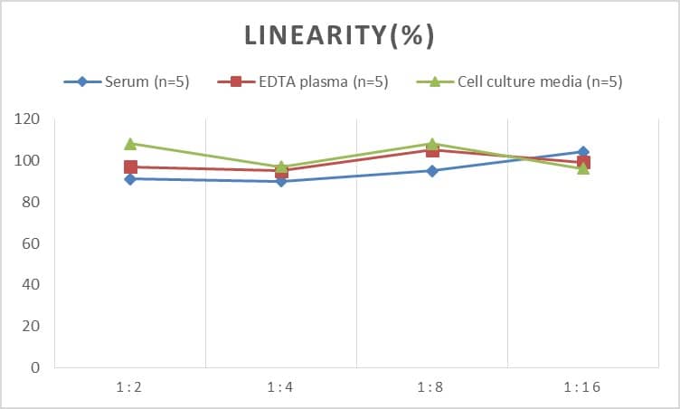 Rat gp130/CD130 ELISA Kit (Chemiluminescence)