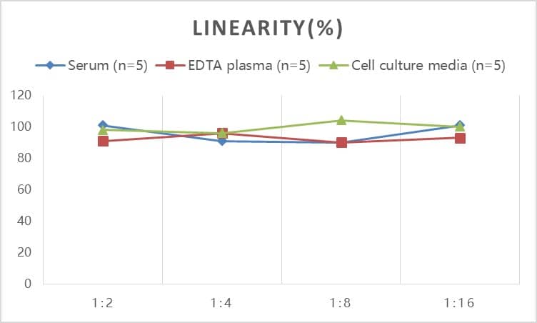 Rat Ferritin ELISA Kit (Colorimetric)