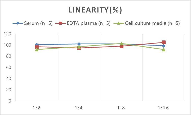 Human KISS1 ELISA Kit (Colorimetric)