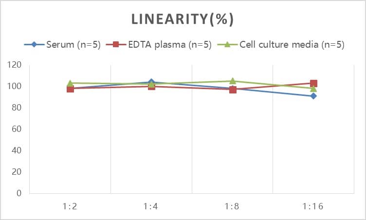 Mouse BMP-6 ELISA Kit (Colorimetric)