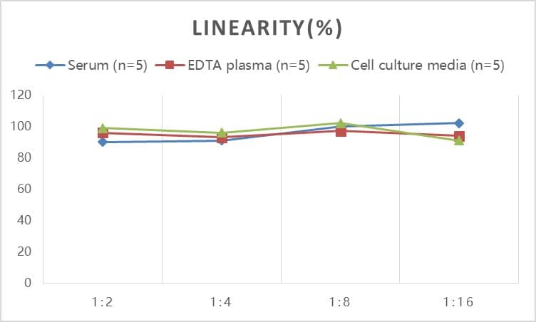 Human Dopamine beta-Hydroxylase ELISA Kit (Colorimetric)