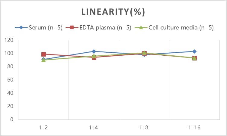 Rat MMP-8 ELISA Kit (Colorimetric)