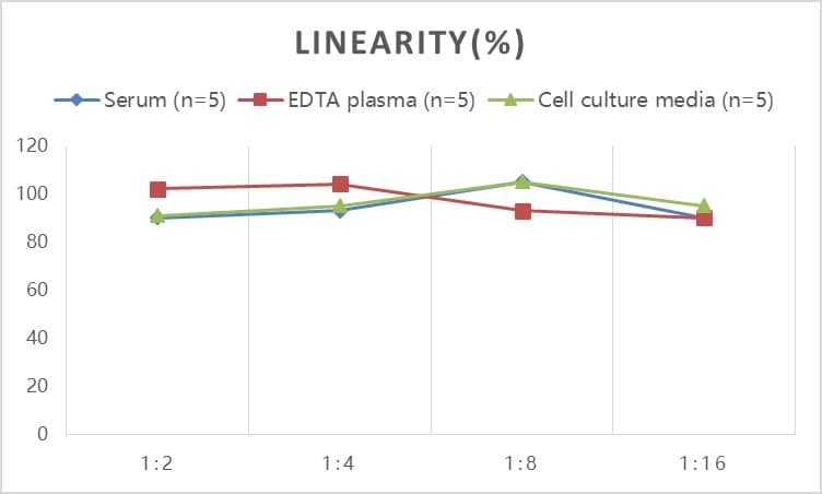 Human Apolipoprotein A5 ELISA Kit (Colorimetric)