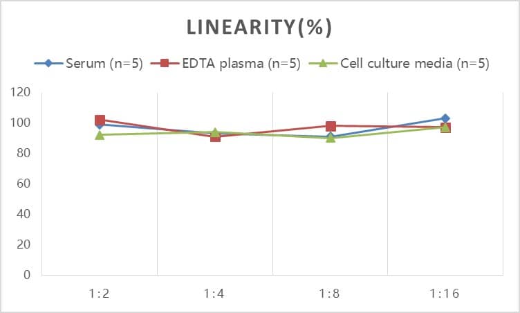 Mouse GDNF ELISA Kit (Colorimetric)