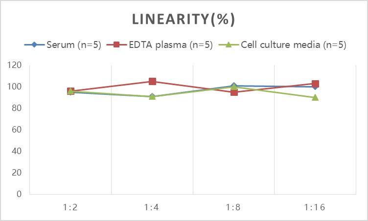 Human Chemokine-like factor ELISA Kit (Colorimetric)