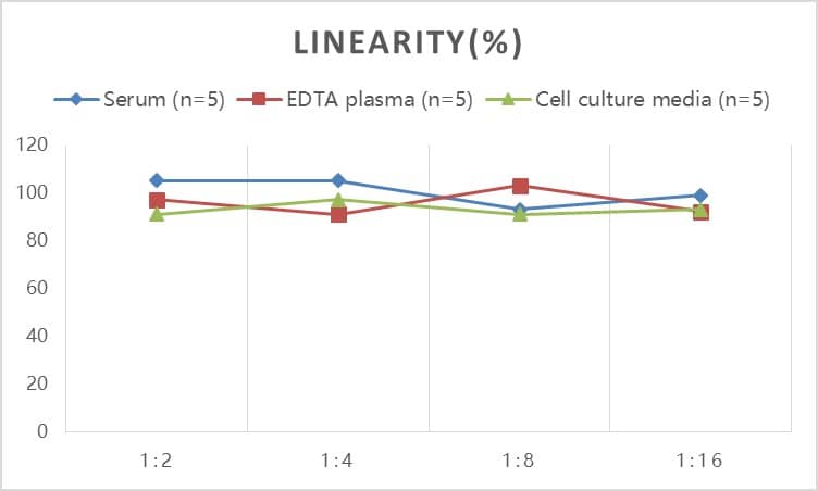 Rat Osteoprotegerin/TNFRSF11B ELISA Kit (Colorimetric)