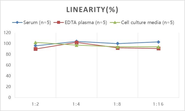 Human GAD2/GAD65 ELISA Kit (Colorimetric)