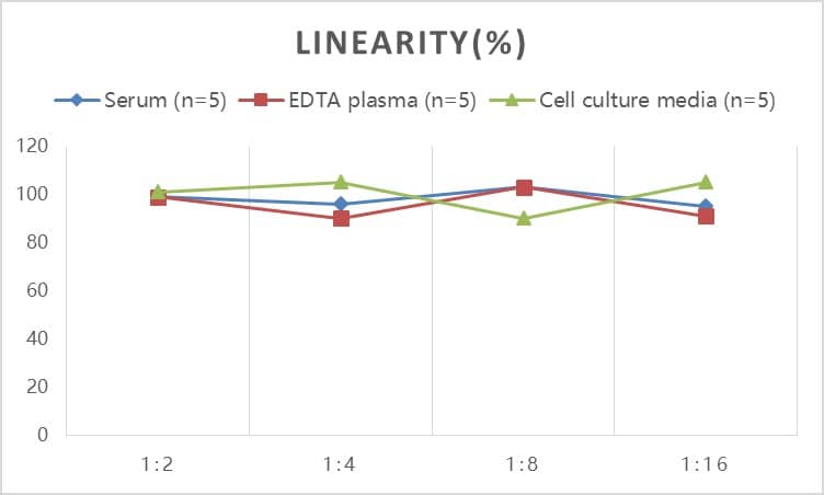 Human Complement C4b ELISA Kit (Colorimetric)