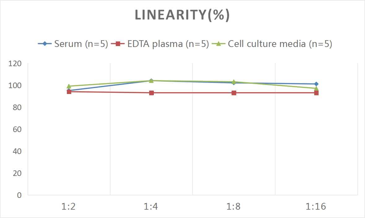 Mouse Lymphotoxin-alpha/TNF-beta ELISA Kit (Colorimetric)