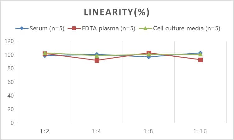 Rat IGFBP-3 ELISA Kit (Colorimetric)