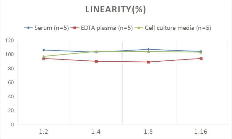 Human Procollagen Type III ELISA Kit (Colorimetric)