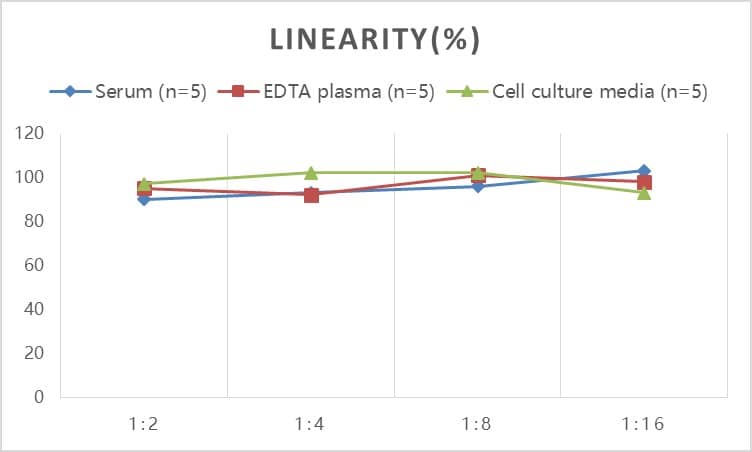 Rat Apolipoprotein A-I/ApoA1 ELISA Kit (Colorimetric)