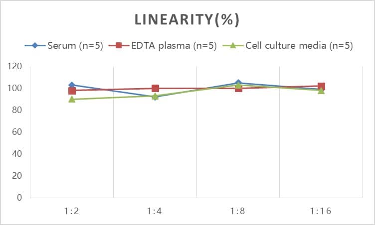 Rat Procollagen type III N-terminal Propeptide ELISA Kit (Colorimetric)