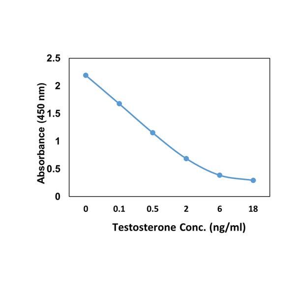 Testosterone Antibody (RM435)