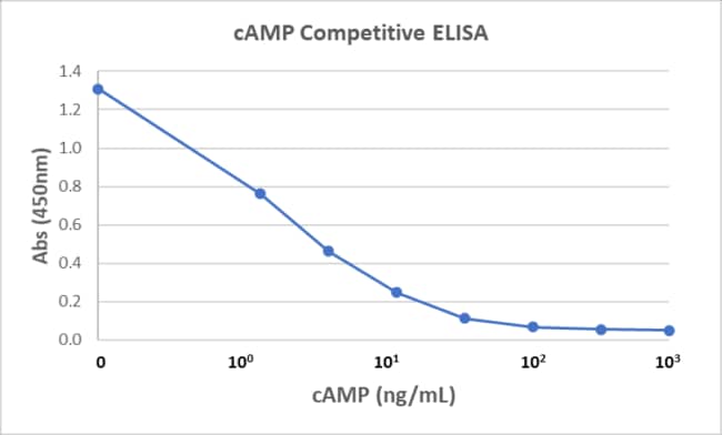 cAMP Antibody (RM466)