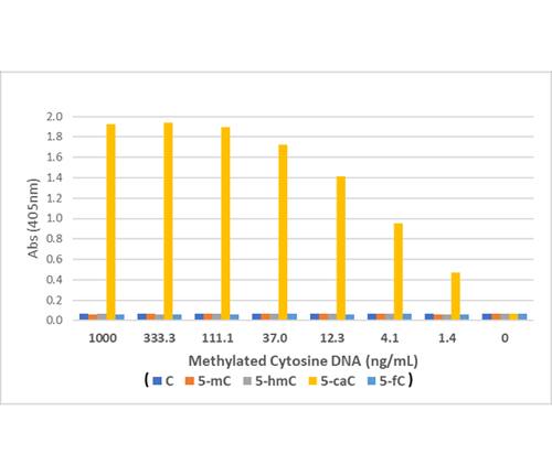 5-Carboxylcytosine Antibody (RM462)