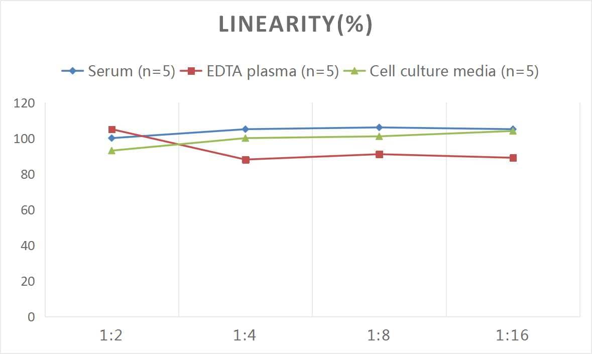 Mouse VE-Cadherin ELISA Kit (Colorimetric)