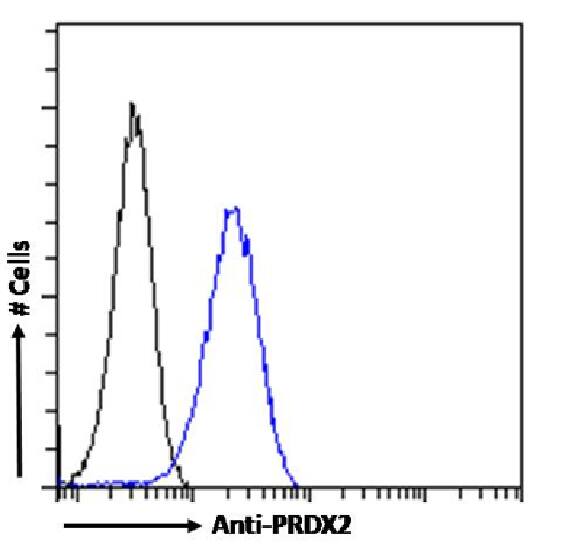 Peroxiredoxin 2 Antibody (SAIC-34B-124) - Azide and BSA Free