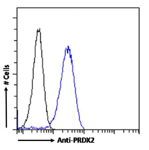 Peroxiredoxin 2 Antibody (SAIC-34D-11) - Azide and BSA Free