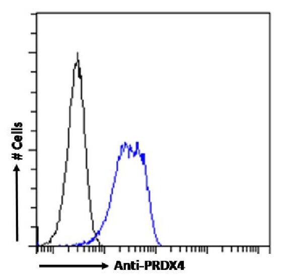 Peroxiredoxin 4 Antibody (SAIC-40C-8) - Azide and BSA Free