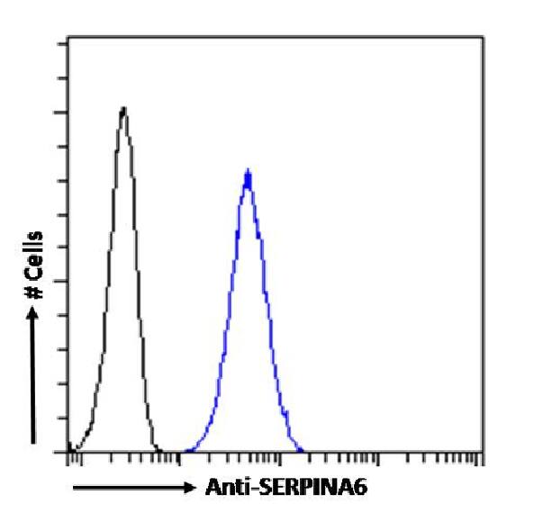 Serpin A6/Cortisol Binding Globulin Antibody (SAIC-42B-10) - Azide and BSA Free