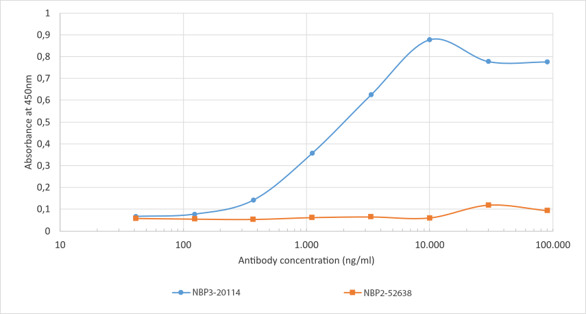 Bovine Serum Albumin Antibody (D1) - Chimeric - Azide and BSA Free