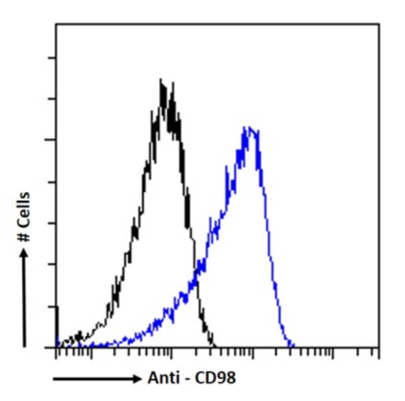 SLC7A5/LAT1 Antibody (EP3-1) - Chimeric - Azide and BSA Free