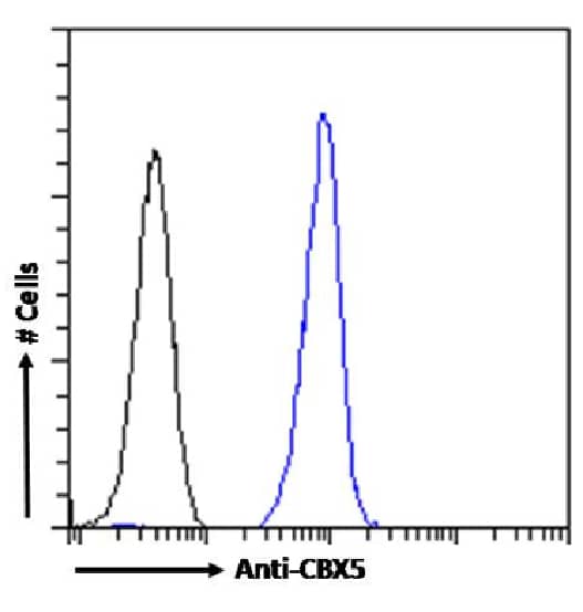 HP1 alpha Antibody (RAB-C133) - Chimeric - Azide and BSA Free