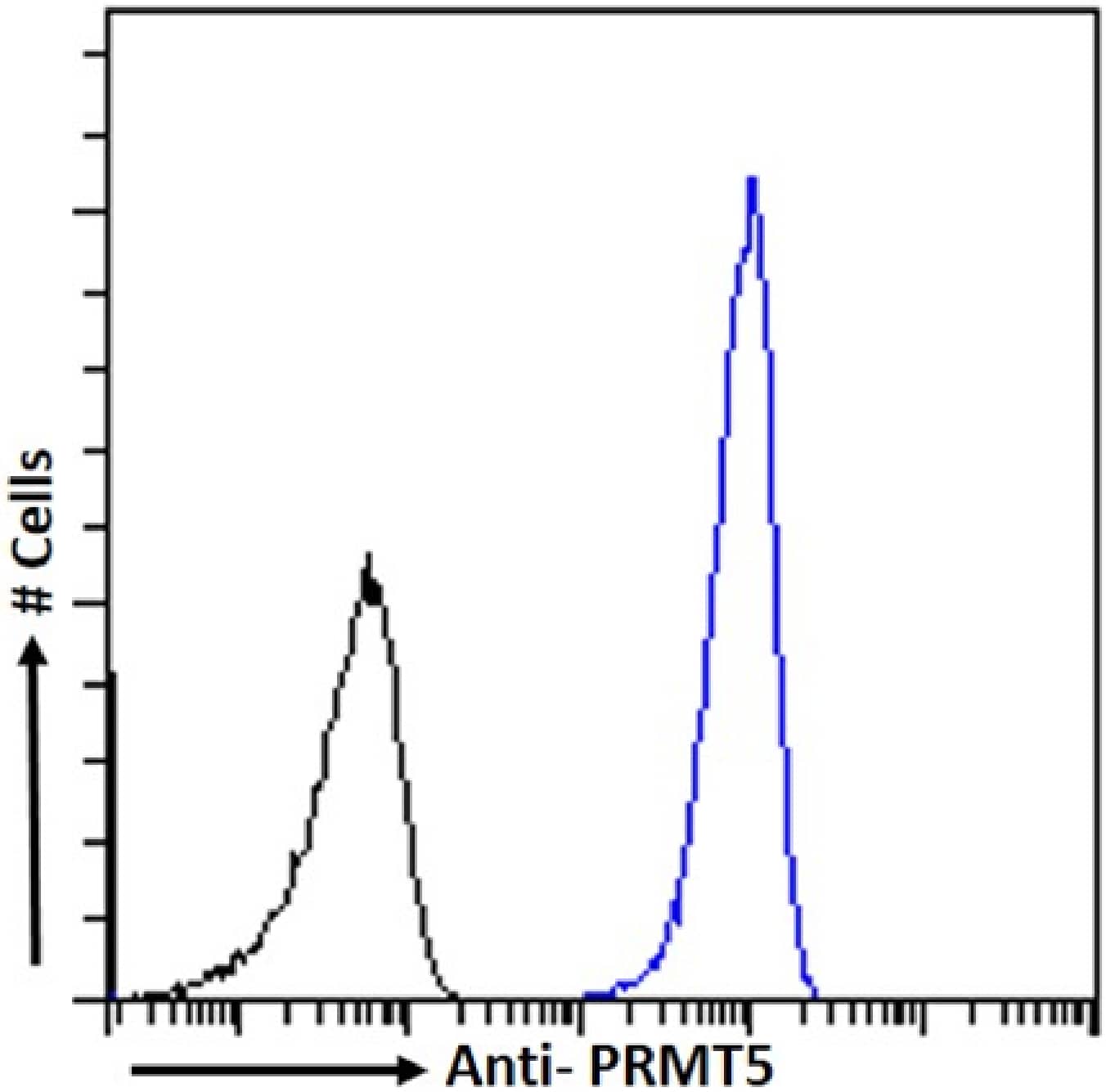 PRMT5 Antibody (RAB-C136) - Chimeric - Azide and BSA Free