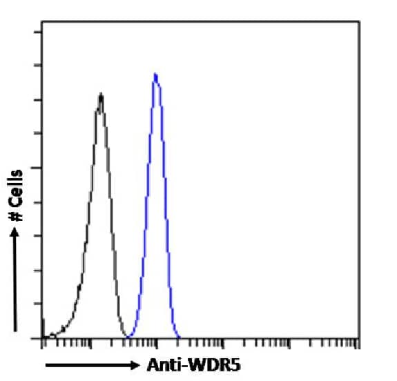 WDR5 Antibody (RAB-C223) - Chimeric - Azide and BSA Free