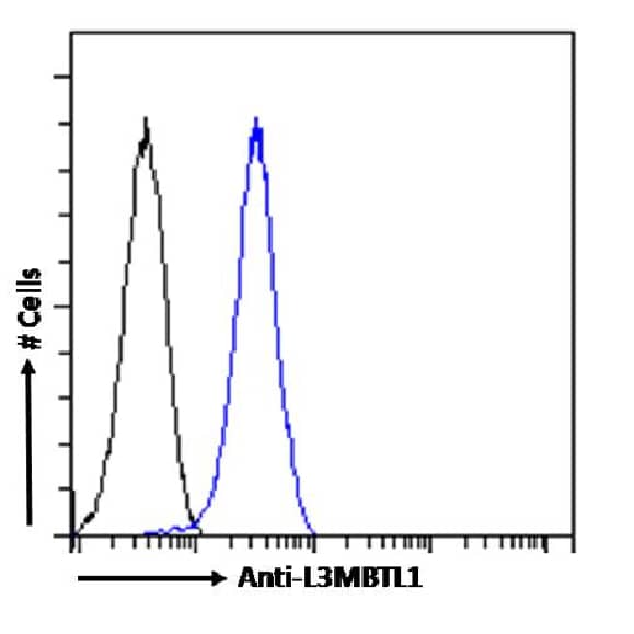 L3MBTL1 Antibody (RAB-C213) - Chimeric - Azide and BSA Free