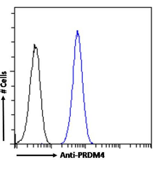 PRDM9 Antibody (RAB-C370) - Chimeric - Azide and BSA Free