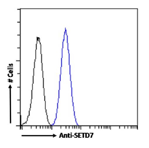 SETD7 Antibody (RAB-C220) - Chimeric - Azide and BSA Free