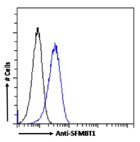SFMBT1 Antibody (RAB-C396) - Chimeric - Azide and BSA Free