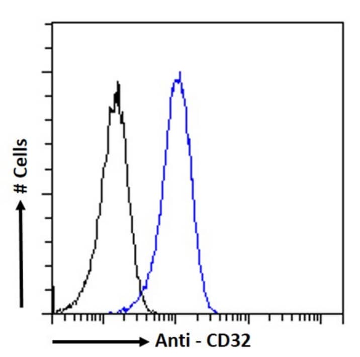 Fc gamma RIIA/CD32a Antibody (IV.3) - Chimeric - Azide and BSA Free