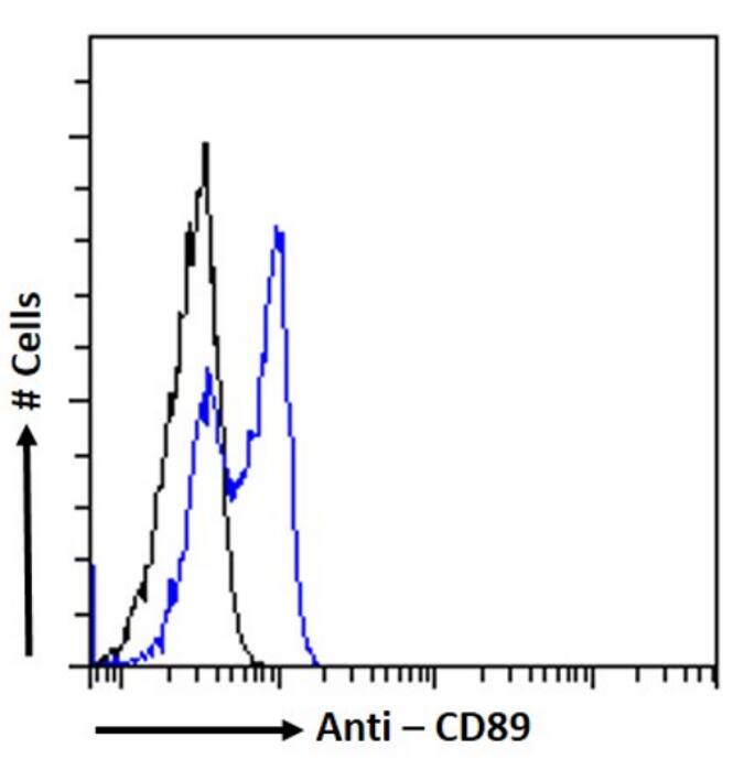 FCAR/CD89 Antibody (14A8 (14.1)) - Chimeric - Azide and BSA Free