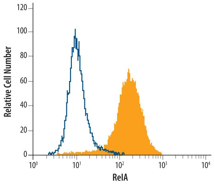 NFkB Pathway Antibody Pack