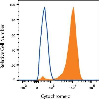 Mitochondrial Markers Antibody Pack