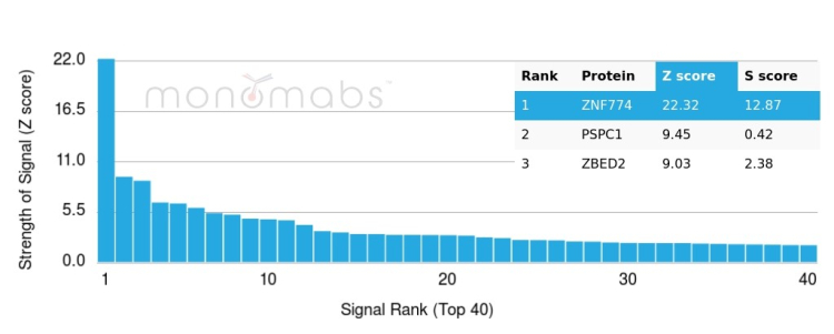 Zinc finger protein 774 Antibody (PCRP-ZNF774-3F7)
