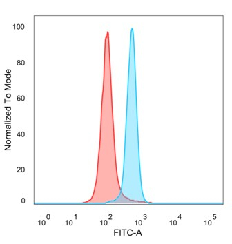 BRAF35 Antibody (PCRP-HMG20B-1B5) - Azide and BSA Free