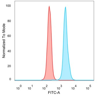MGC20410 Antibody (PCRP-BATF2-2B9) - Azide and BSA Free