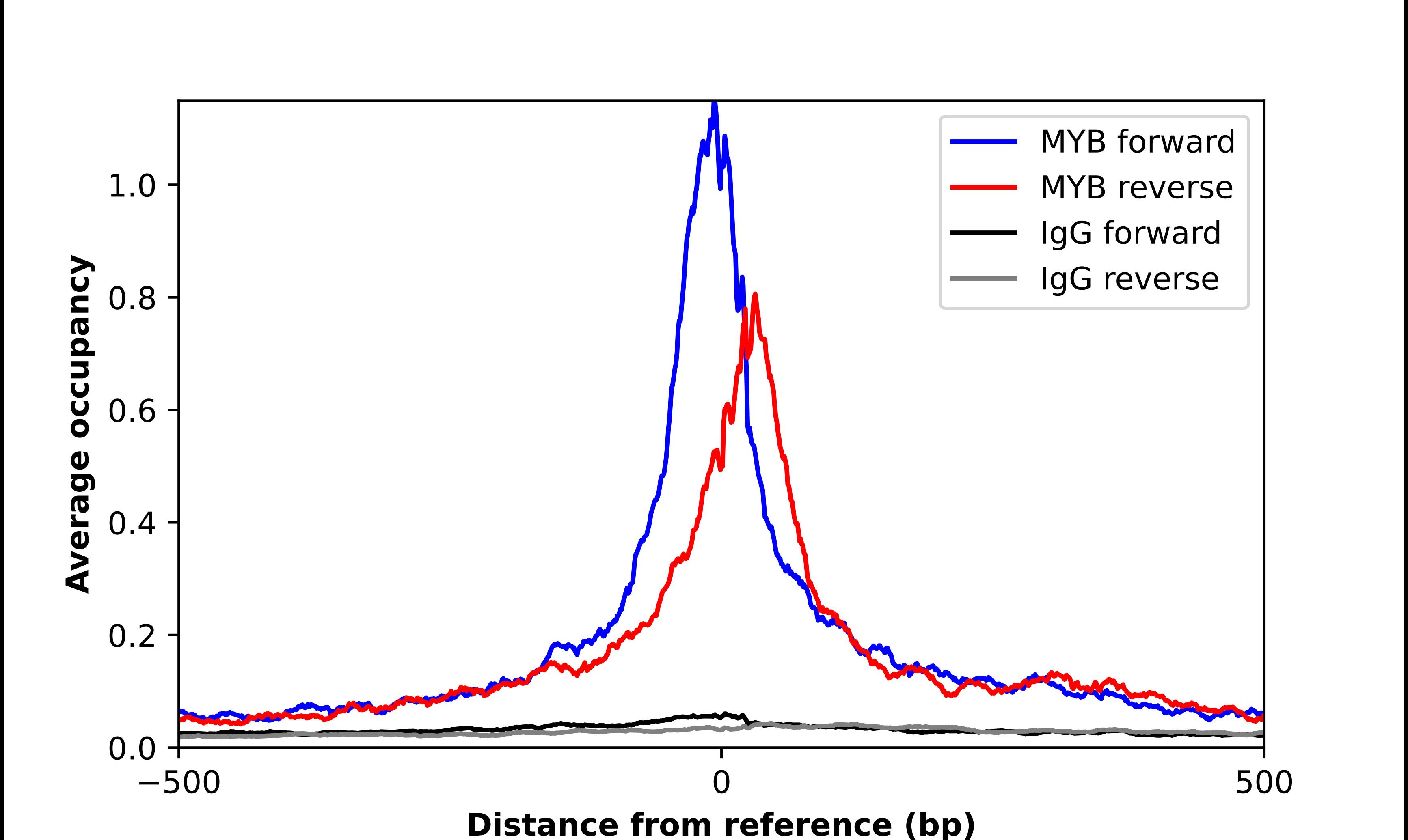 c-Myb Antibody - BSA Free Chromatin Immunoprecipitation-exo-Seq: c-Myb Antibody - BSA Free [NBP3-21349]