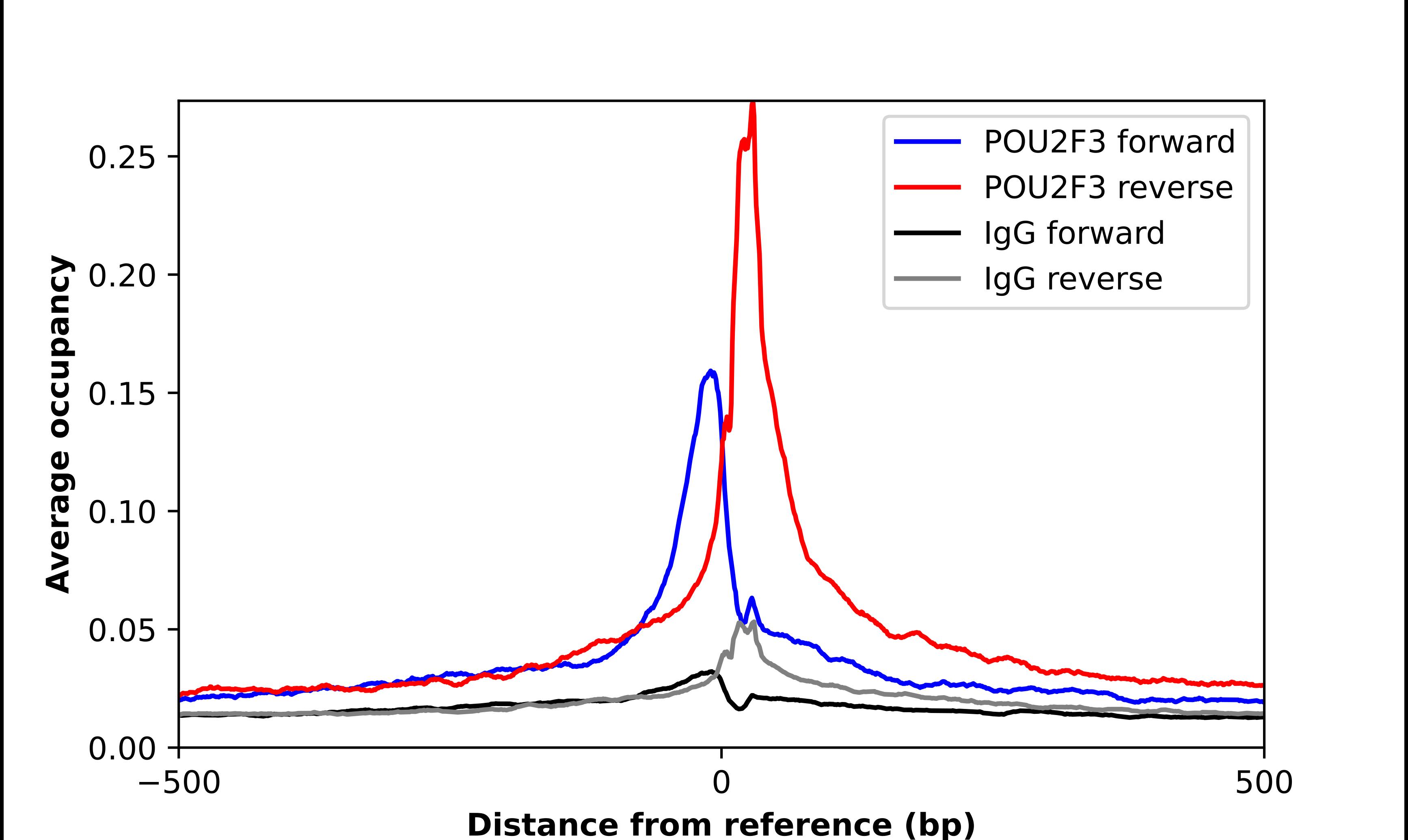 POU2F3 Antibody - BSA Free Chromatin Immunoprecipitation ChIP: POU2F3 Antibody - BSA Free