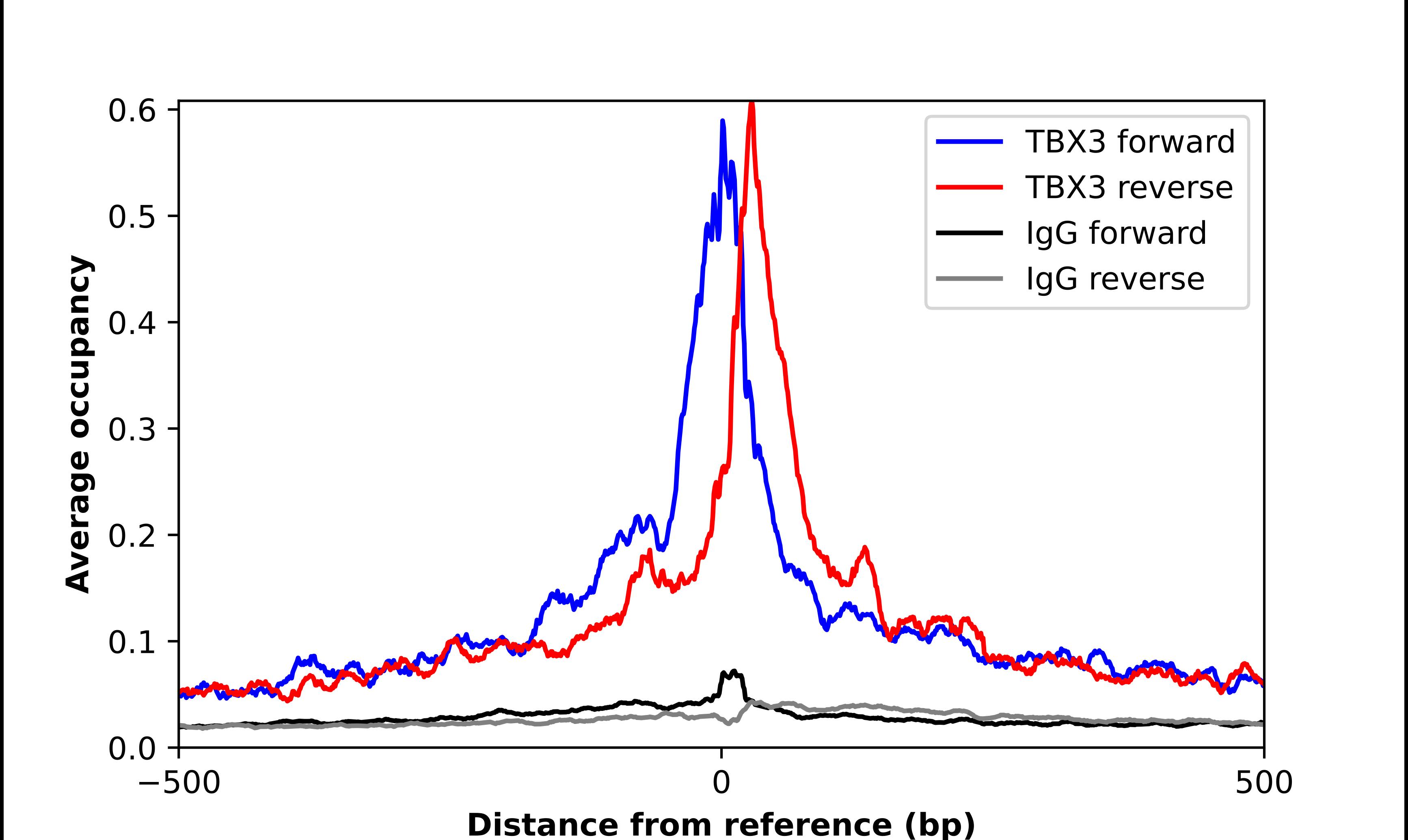 TBX3 Antibody - BSA Free Chromatin Immunoprecipitation-exo-Seq: TBX3 Antibody - BSA Free [NBP3-21394]